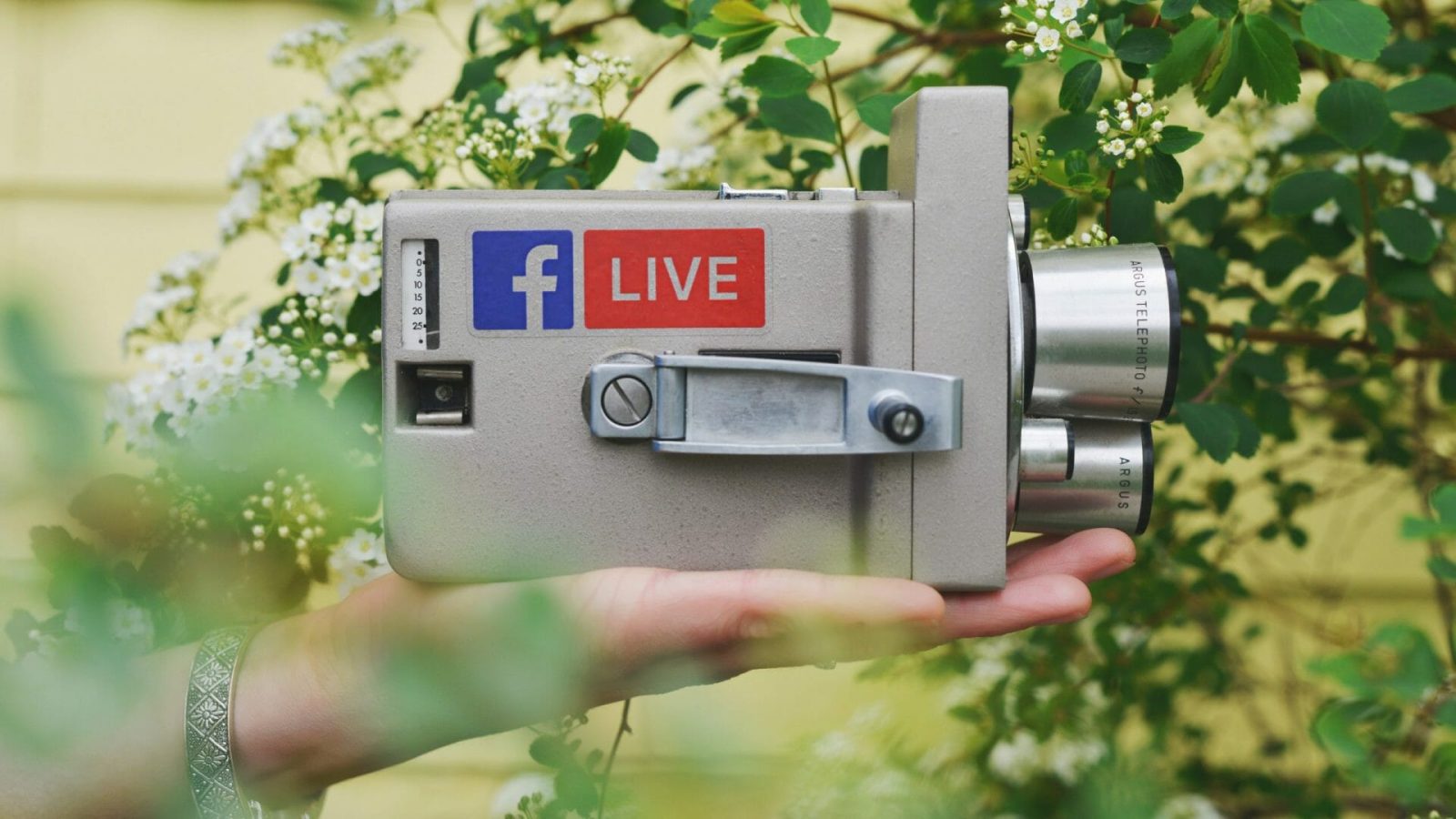 Facebook-Video-Ads helfen deinem Marketing